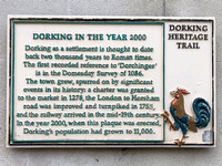 Dorking 2000 002 N971