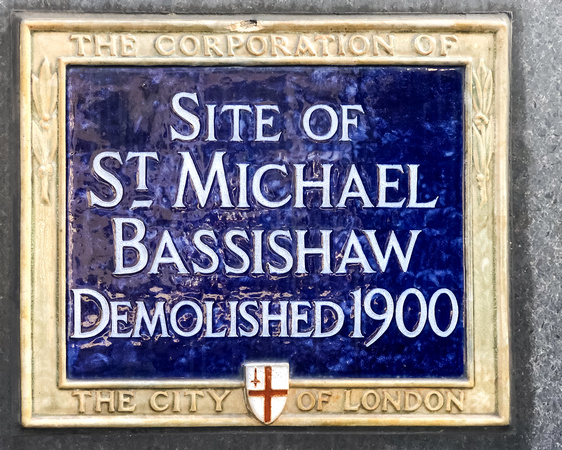 Michael Bassishaw 004 N669