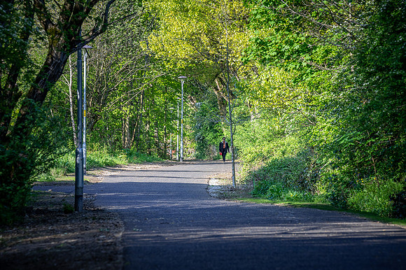 Colliery Line 127 N921
