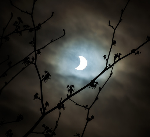 Eclipse 2015 139 N377