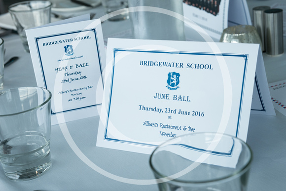 Bridgewater Ball 2016 004 N440