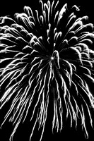 Bristol Fireworks 1 B&W N6
