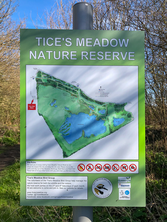 Tices Meadow 021 N785