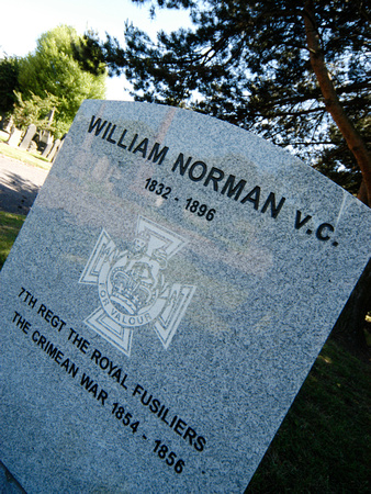 Norman VC 01 D49