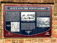 Alice and the White Rabbit 001 N585