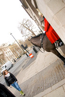 Horse Guards 010 N185