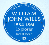 William Wills 004 N426