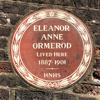 Eleanor Anne Ormerod 001 N606