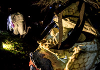 Halloween 2014 011 N360