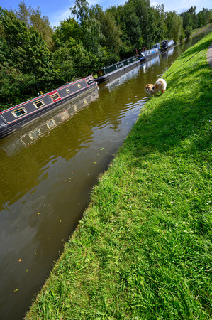 Boothstown Marina 023a N800