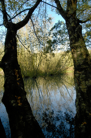 Old Warke Dam 03 N14