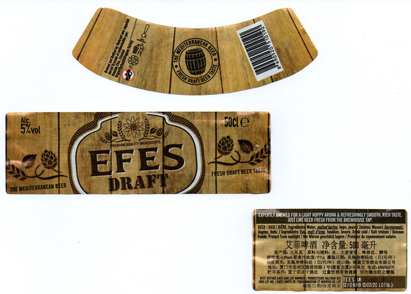 5747 EFES Draft