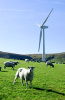 Hameldon Wind Farm 011 D169