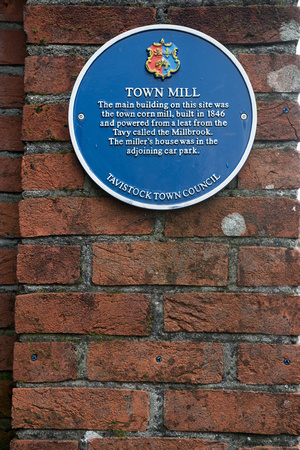 Tavistock Town Mill 001 N429