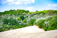 Sundon Hills 020 N853