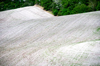 Sundon Hills 008 N853