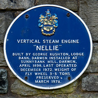 Nellie 002 N329