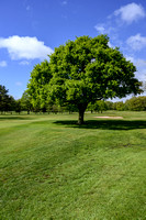 Worsley Golf Course 011 N787