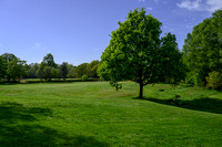 Worsley Golf Course 003 N787