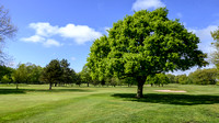 Worsley Golf Course 014 N787