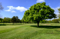Worsley Golf Course 013 N787