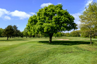 Worsley Golf Course 015 N787