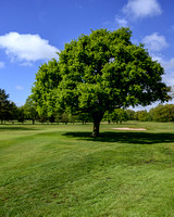 Worsley Golf Course 012 N787