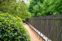 Hampstead Pergola 011 N701