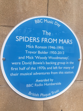 Spiders From Mars 002 N686
