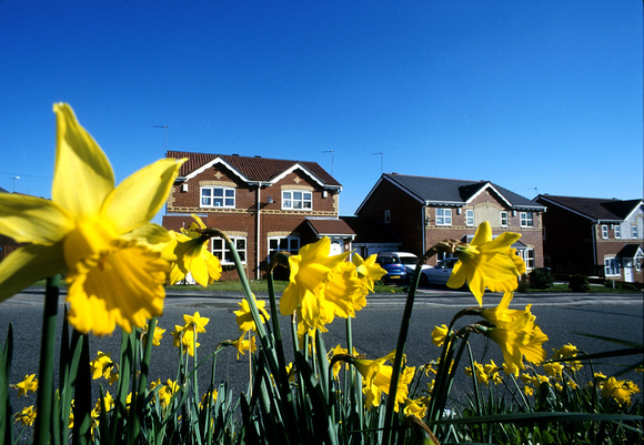 Brindleheath Housing 01 D12