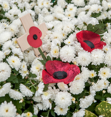 Remembrance Day 2014 134 N361