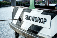 Snowdrop 006 N390