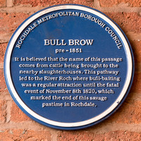 Bull Brow 004 N429