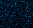 Gravel blue dark