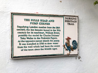 Dorking