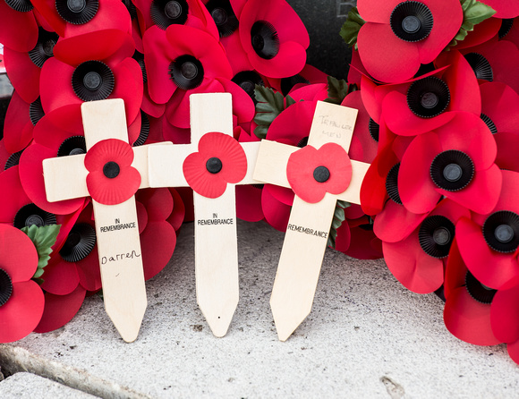 Remembrance Day 2014 138 N361