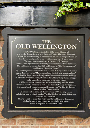 Old Wellington 001 N333