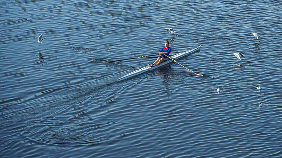 Agecroft Rowing C 005 N268