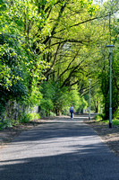 Colliery Line North 191 N921