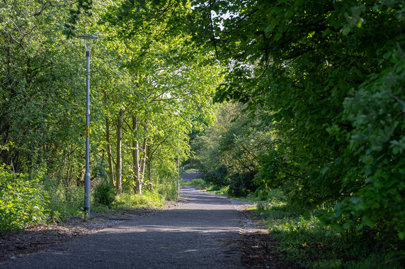 Colliery Line North 188 N921