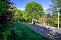 Colliery Line South 145 N921