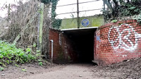 Cattle Tunnel 002 N658