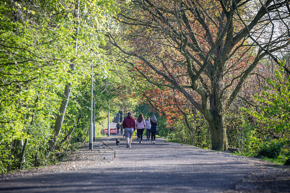 Colliery Line South 136 N921